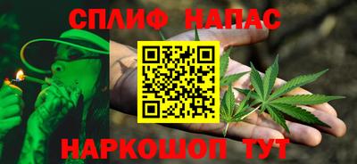 молекула духа Камышлов