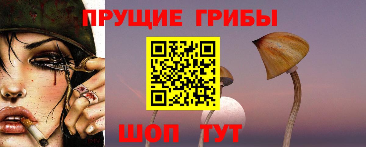 Псилоцибиновые грибы прущие грибы Лиски